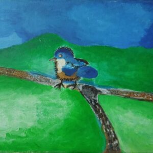 Uccellino blu cobalto - Alla ricerca della felicità