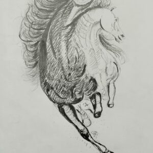 Maestosità - collezione privata