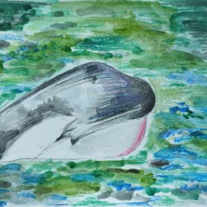 The jumping whale