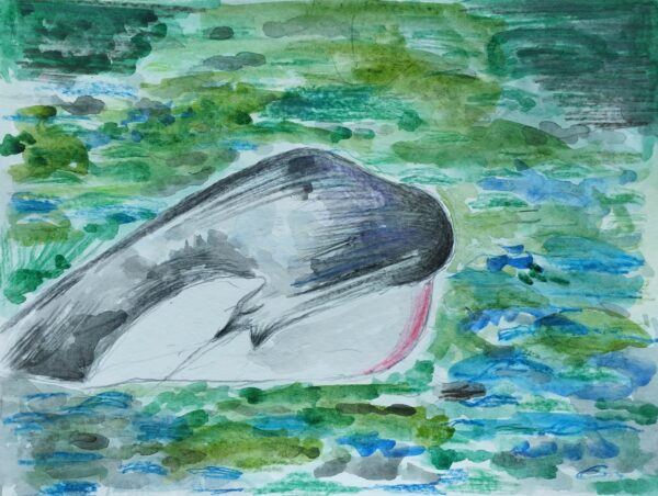 The jumping whale