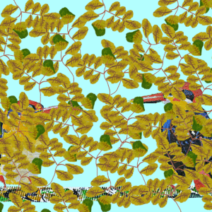 Cadono le foglie Cadono le foglie