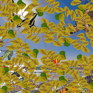 Spuntano le foglie!_1 Spuntano le foglie!