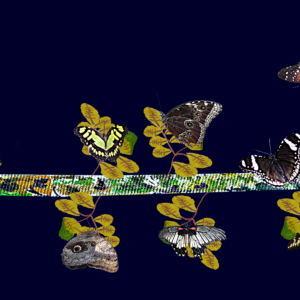 L'unione fa la forza (2)