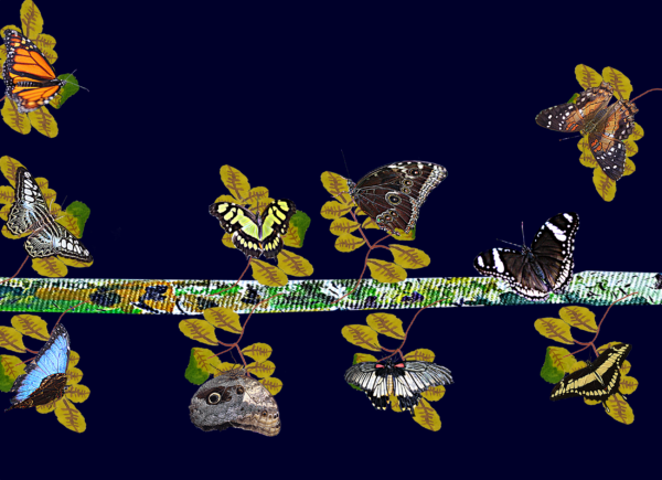 L'unione fa la forza (2)