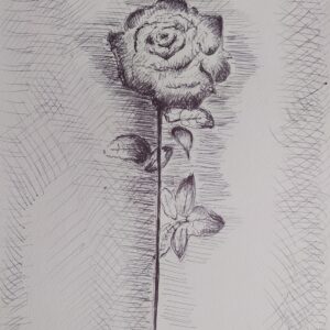 Red flower - desire, collezione privata