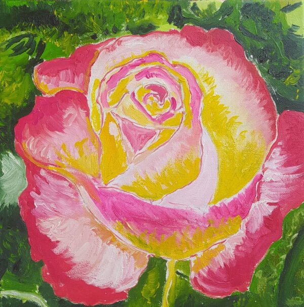 Rosa 'Peace', gioia - collezione privata