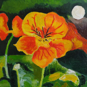 L'escolzia, atmosfera - collezione privata