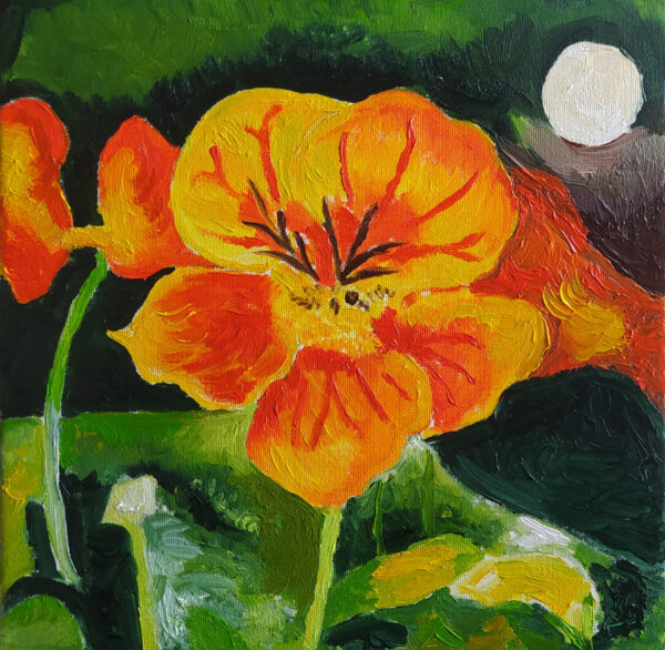 L'escolzia, atmosfera - collezione privata