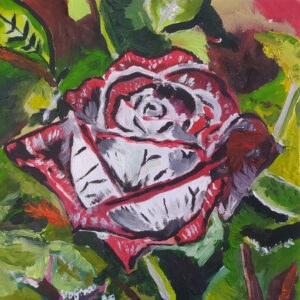 Rose rosse, romanticismo - collezione privata