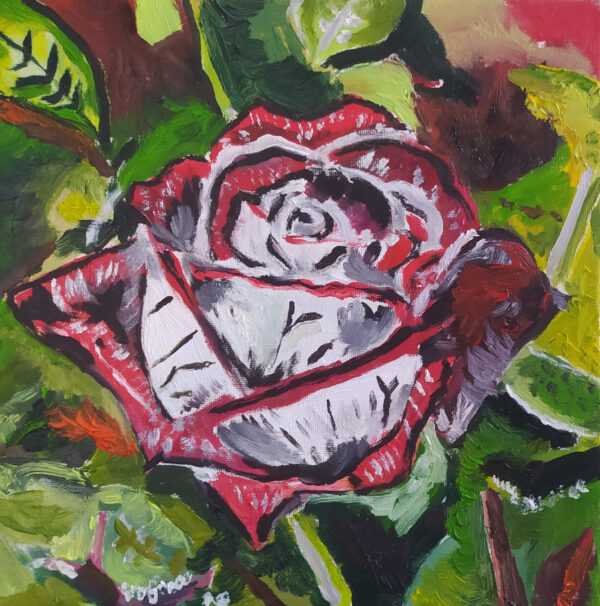 Rose rosse, romanticismo - collezione privata