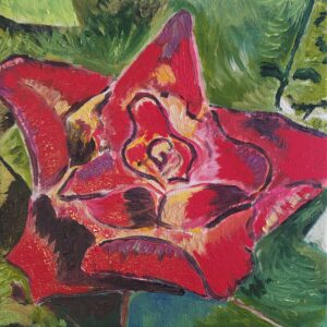 Rose rosse per te - collezione privata