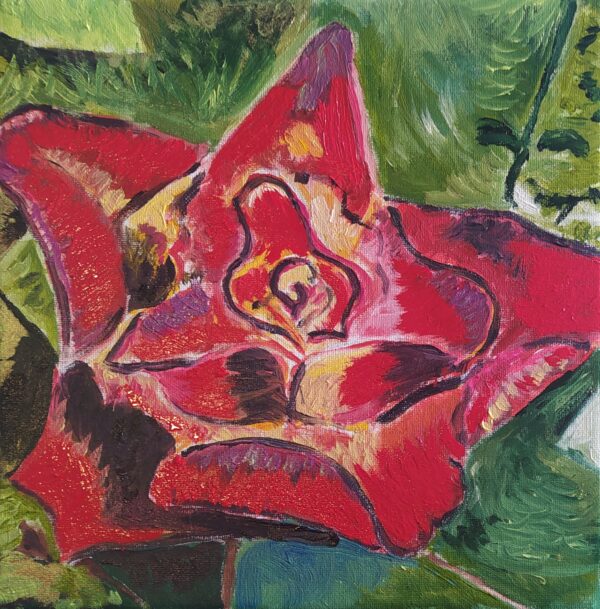 Rose rosse per te - collezione privata