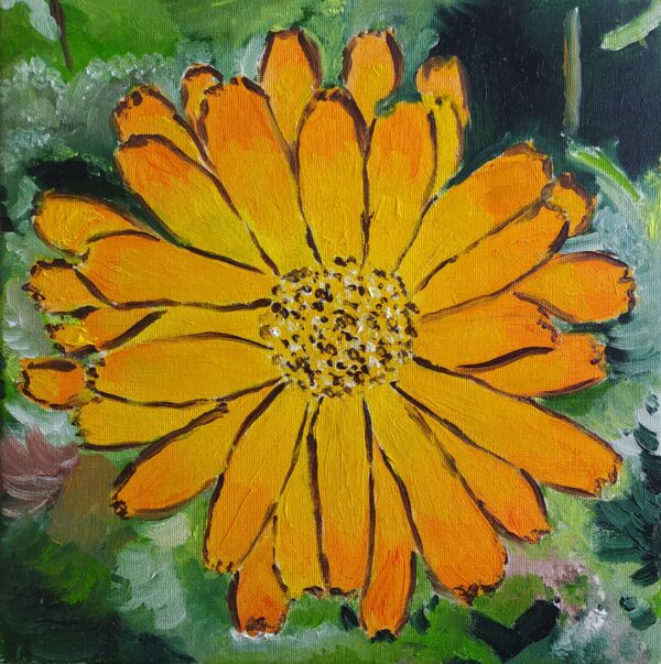 La gerbera - ottimismo, collezione privata