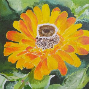 La gerbera - benessere, collezione privata