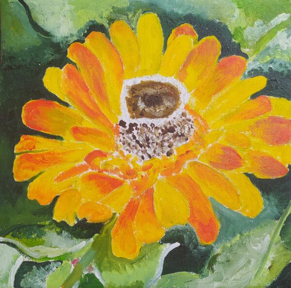 La gerbera - benessere, collezione privata