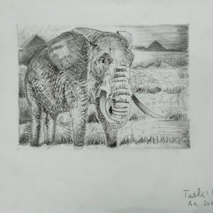 Saggezza e memoria - collezione privata