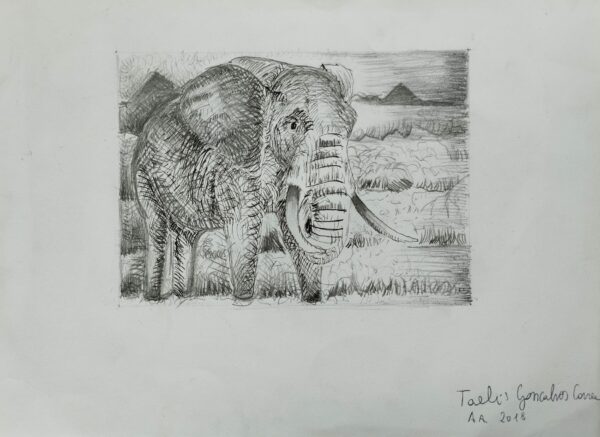 Saggezza e memoria - collezione privata