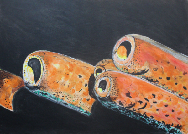 La spugna - esistenza