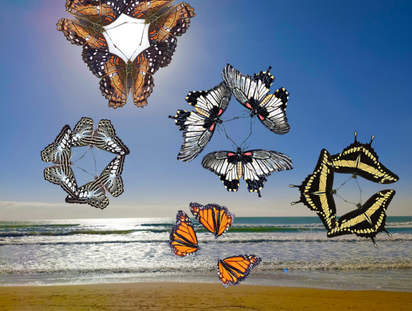 Trio di farfalle en plain air - gemellanza
