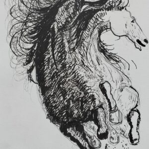 Studio di cavalli rampanti - Vortice equestre, collezione privata