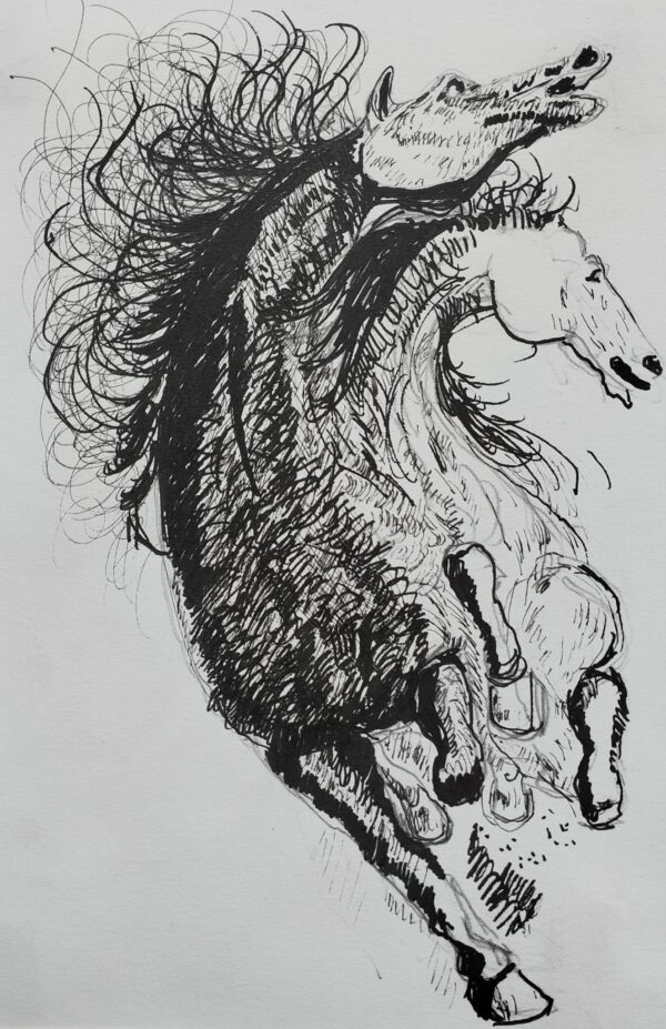 Studio di cavalli rampanti - Vortice equestre, collezione privata