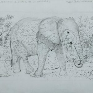 L'elefante in cammino - collezione privata