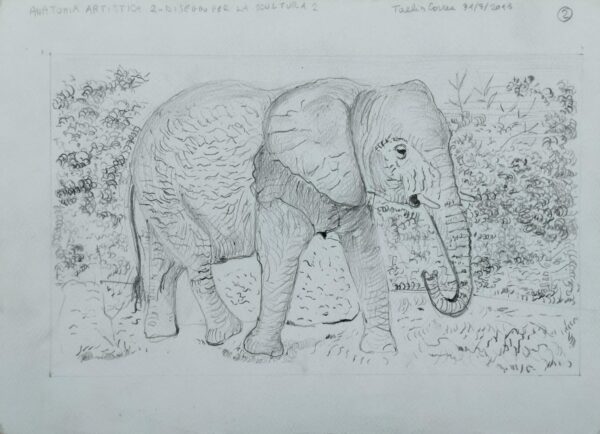 L'elefante in cammino - collezione privata